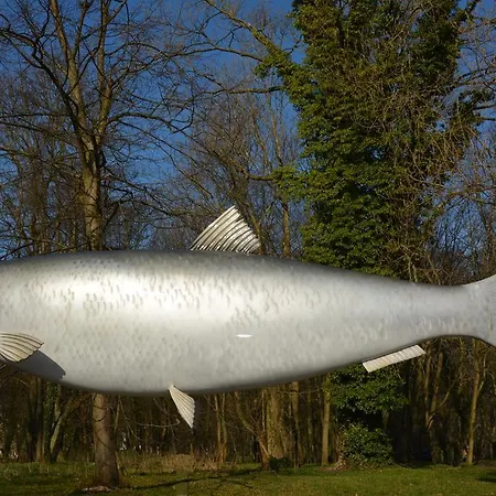 Apartament Solna アパート コウォブジェク