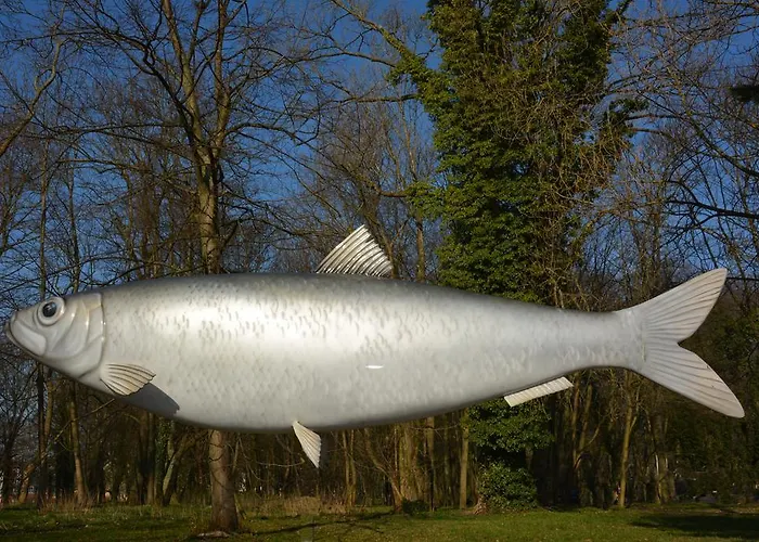 Apartament Solna Apartment Kolobrzeg